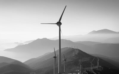 Eolienne terrestre : quand les enjeux environnementaux poussent l&rsquo;Etat à réformer ses procédures administratives