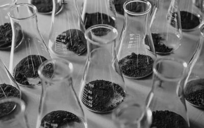 L&rsquo;évolution des clauses environnementales